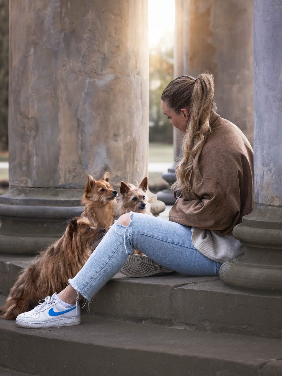 Eine Frau sitzt auf Stufen und spielt mit drei Hunden in der Abendsonne.
